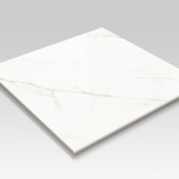 马可波罗客厅餐厅釉面墙砖地砖 雪朗石 800X800